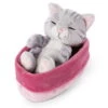 Nici 48086 Sleeping Kitties Schlafende Katze Im Körbchen 12cm Plüsch Grau 2 Nici 48086 Sleeping Kitties Schlafende Katze Im Körbchen 12cm Plüsch Grau -Nici 47141 01 HA Frei 1867x2048