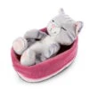 Nici 47144 Sleeping Kitties Schlafende Katze Im Körbchen 16cm Plüsch Grau -Nici 47144 01 HA Frei 2048x1752