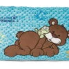 Nici 47615 Kissen Bär Kakaobraun & Frosch 43x25cm Plüsch Classic Bear GREEN -Nici 47615 01 HA Frei 2048x1318