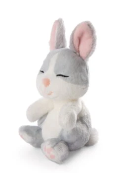 Nici 48706 Sleeping Pets Bunnies Hase Grau 12cm Schlafend Im Körbchen Grün -Nici 48706 04 ZA Frei 1451x2048