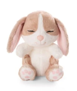 Nici 48709 Sleeping Pets Bunnies Hase Cappuccino 12cm Schlafend Im Körbchen Grün -Nici 48709 04 ZA Frei 1726x2048