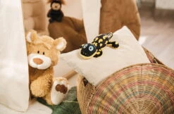 Nici 48780 Salamander Don Fuego Ca 25cm Plüsch Kuscheltier GREEN Classic Bear -Nici 48775 14 48782 Milieu 2048x1342