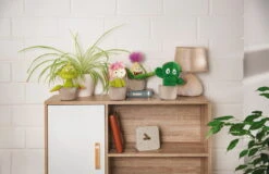 Nici 48942 Sedum Pflanze Amalia 18cm Plüschfigur Kuscheltier GREEN Funny Flowers -Nici 48941 11 Milieu 48942 48943 48944 Milieu me 1