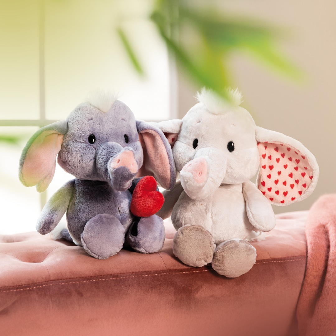 Nici -Nici 475896000 1119014053569812 8070509759184474743 n